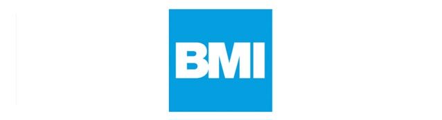 BMI Group