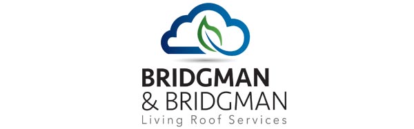 Bridgman & Bridgman LLP