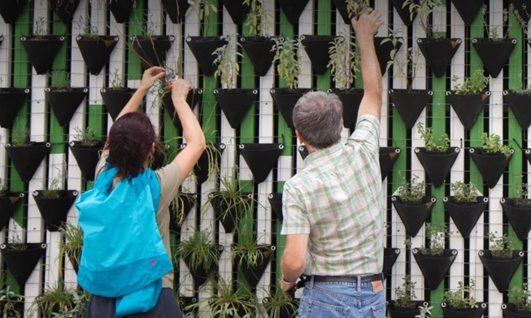 HUBBUB-urban-green-roofing