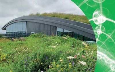 New report highlights how green and blue roofs can help mitigate climate change