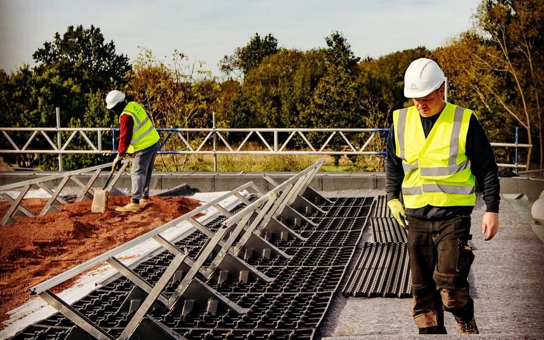 green roof company working on a new installation