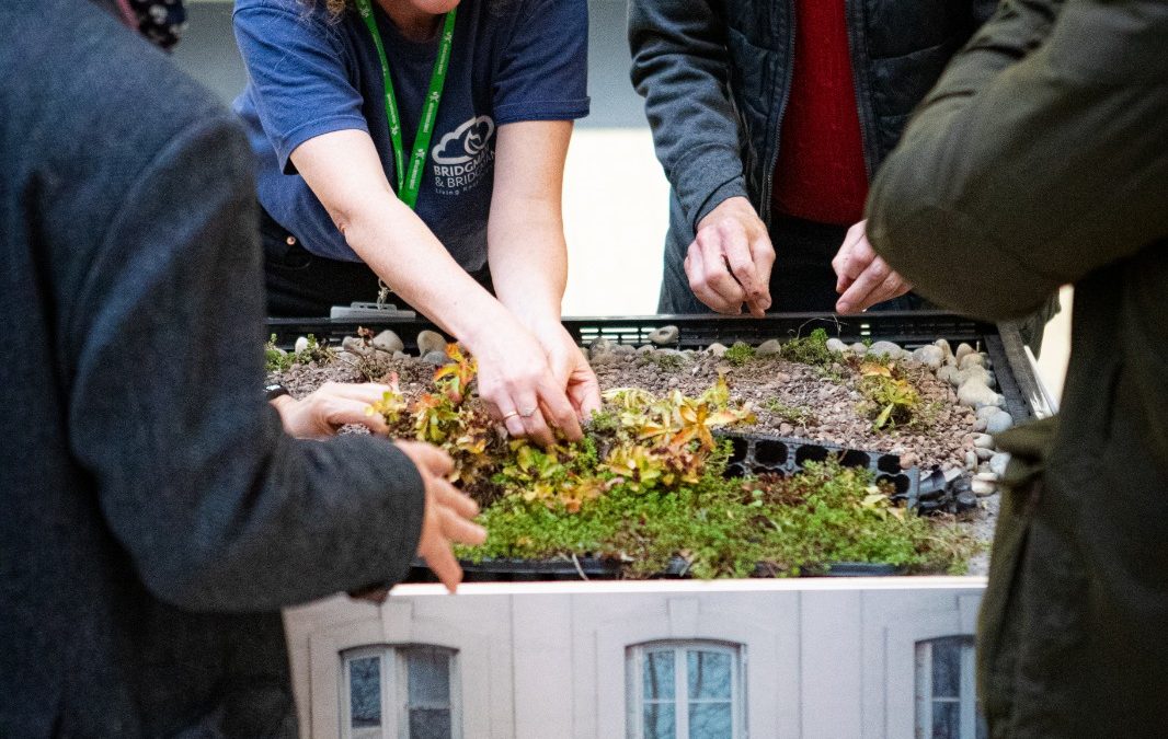 group of people at a trade show examining a green roof installed onto a dolls house