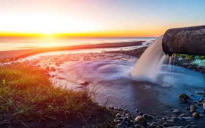 Could Green Roofing Help Protect Our Seas From Sewage Spills?