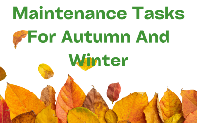Essential Green Roof Maintenance Tasks For Autumn and Winter