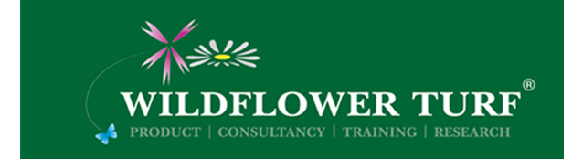 Wildflower Turf Ltd