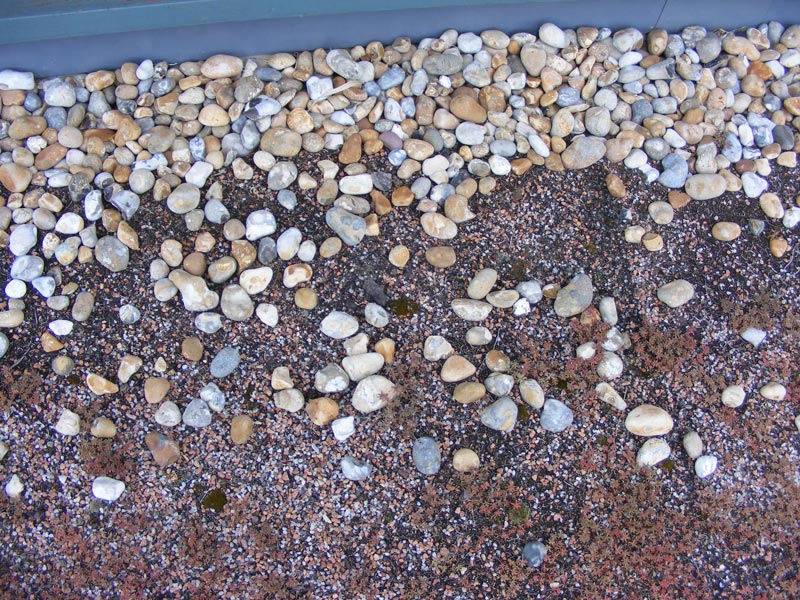 green roof pebble border in need of maintenance