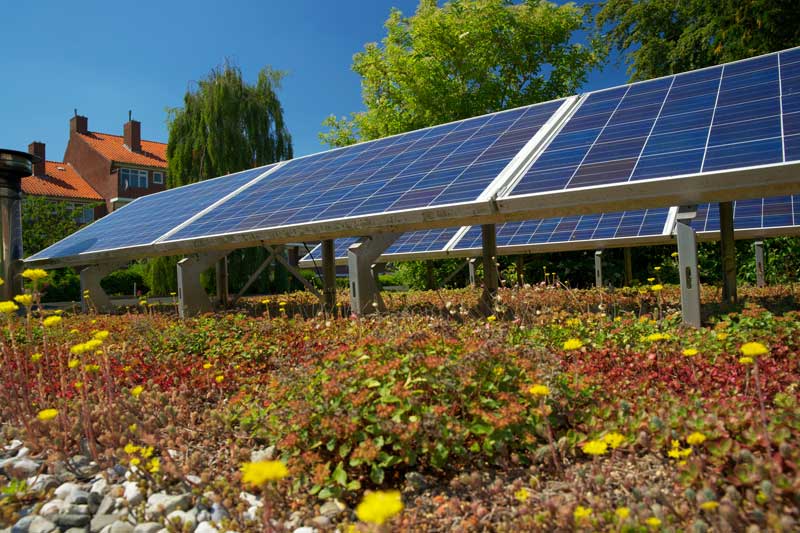 biosolar roof offering several green roof benefits