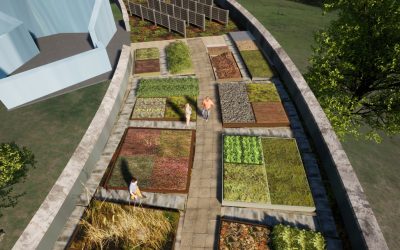 Living Roof Live Lab: Shaping the Future of Green Roofing in the UK