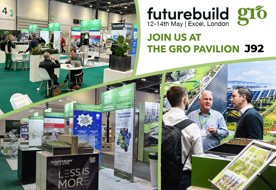 birds foot trefoil a useful plant to grow on a green roof