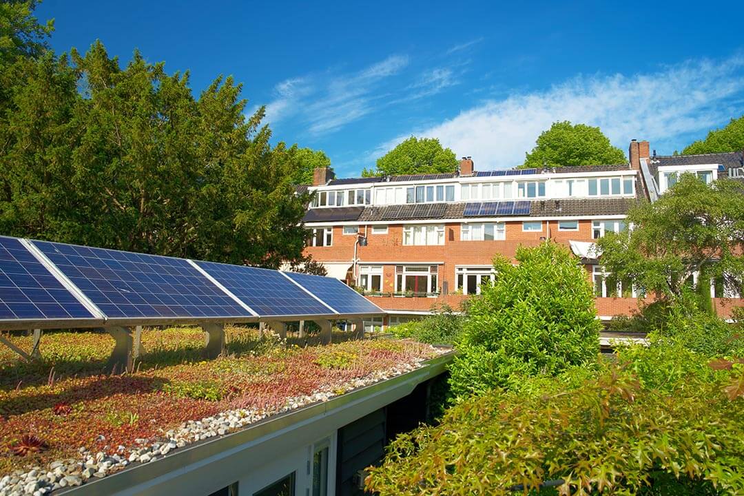 Photo of an IKO Elements Bio Solar System